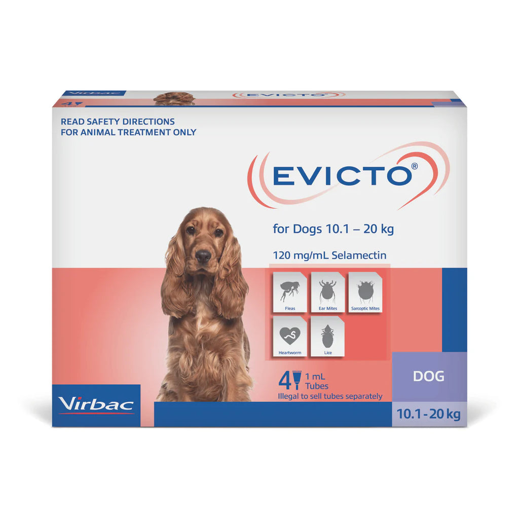 Evicto dog 10kg to 20kg - canine