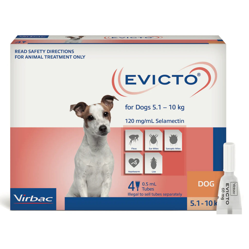 Evicto dog 5.1kg to 10kg - canine