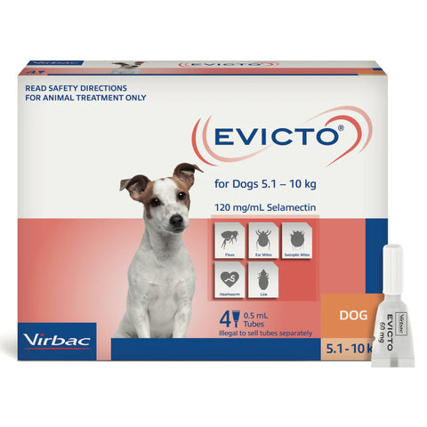 Royal Canin Junior Dog Dry Food - Labrador Retriever