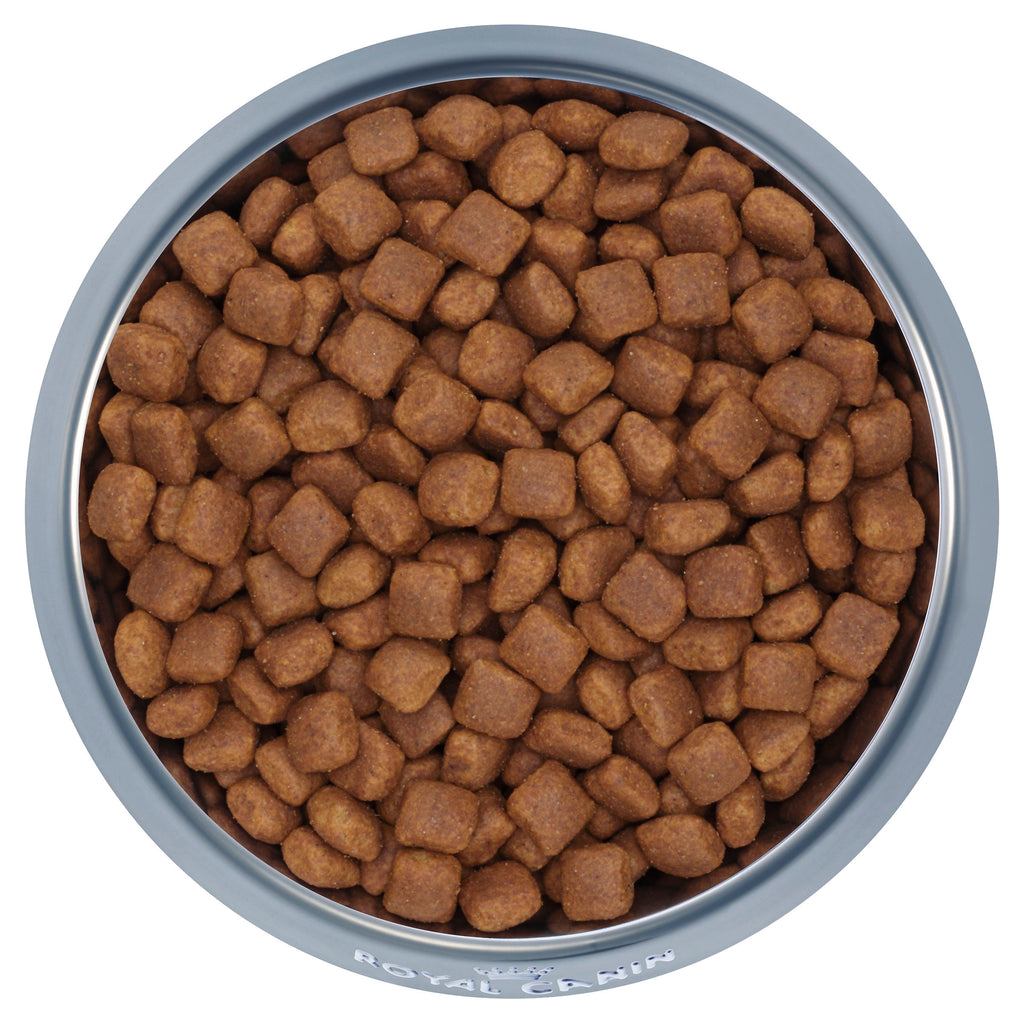 Royal Canin Giant Junior - Dry 15kg