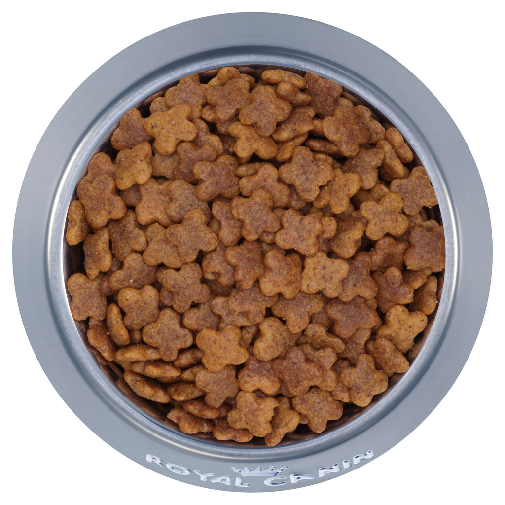 Royal Canin Mini Dog Dry Food - Adult - Various Sizes