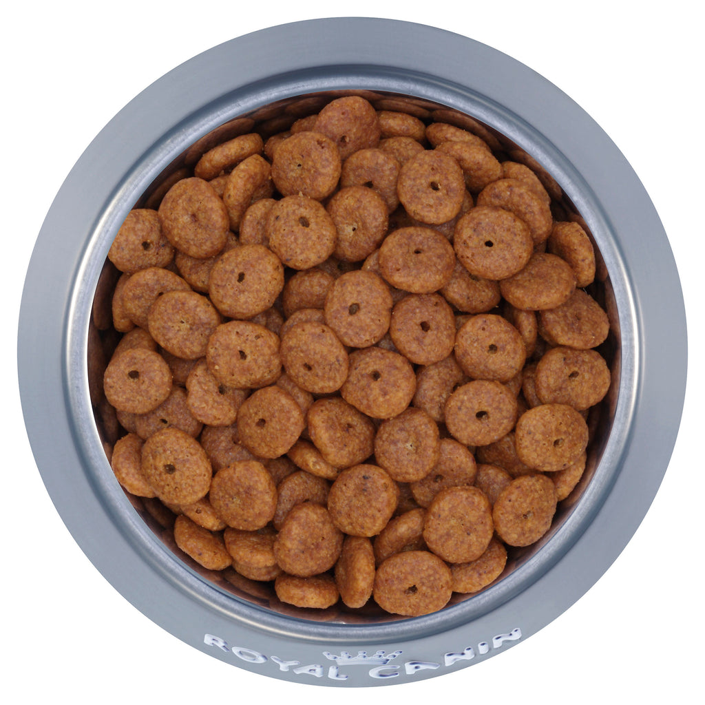 Royal Canin Mini Ageing 12+ - Dry 1.5kg