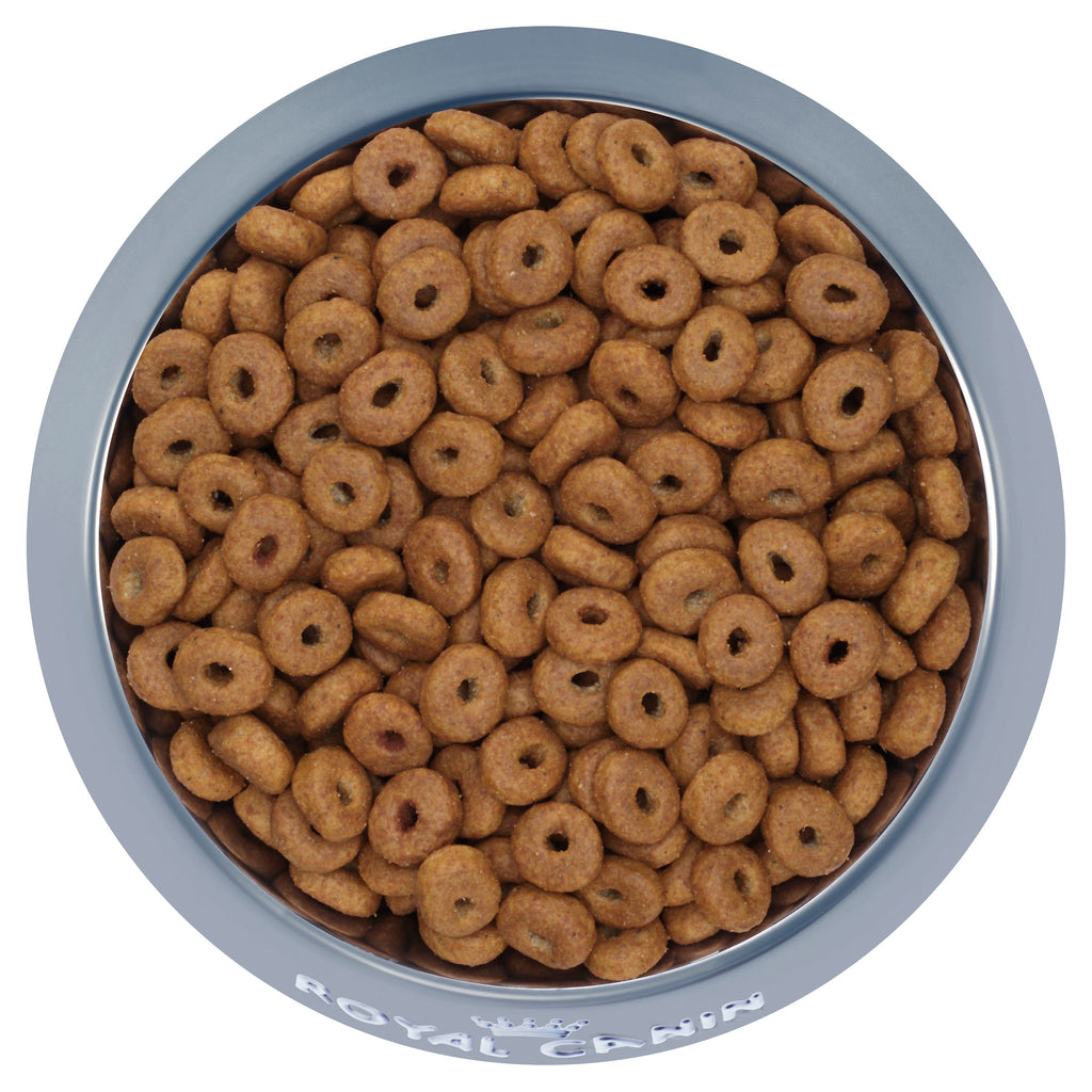 Royal Canin Medium Ageing 10+ - Dry - 15kg