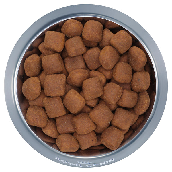 Royal Canin Giant Adult - Dry 15kg – Gobles Pet and Grain, Adelaide