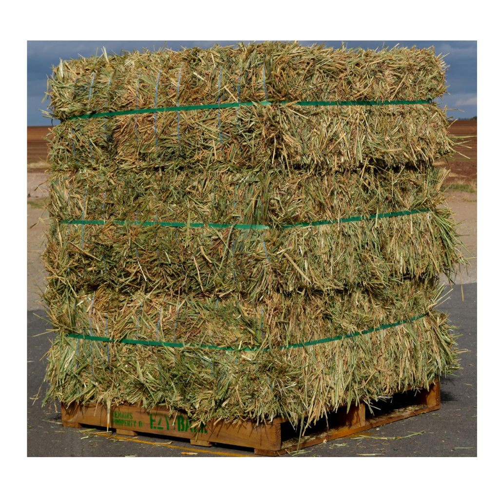 Ezy Bale Wheaton Hay - Bale