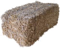 Pea Straw - Bale