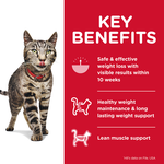 Hills Science Diet Adult Cat - Perfect Weight