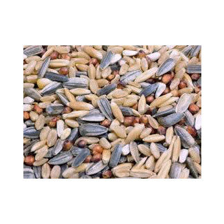 Chirpy Bird Seed - Large Parrot Mix