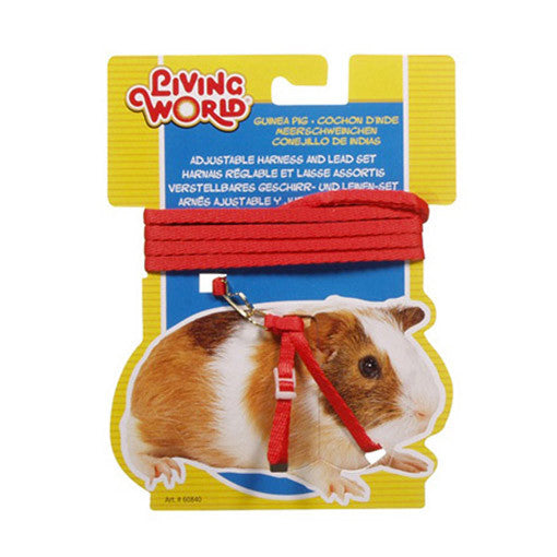 Living world guinea pig on sale