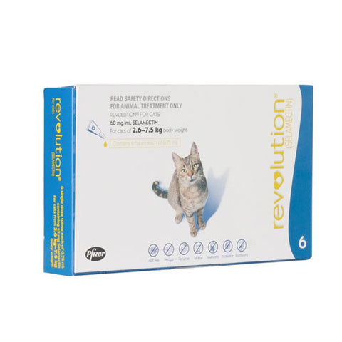 Royal Canin Adult Cat- Indoor 7+