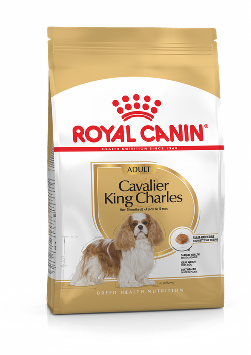 Royal Canin Adult Dog Dry Food - Cavalier King Charles