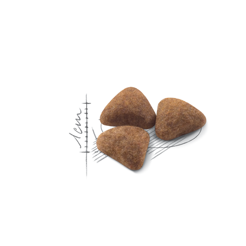 Royal Canin Adult Cat - Indoor