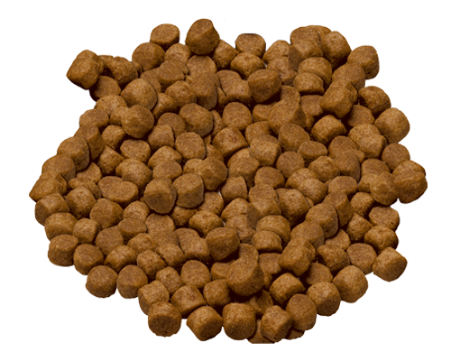 Hill's science diet sales mobility dog food