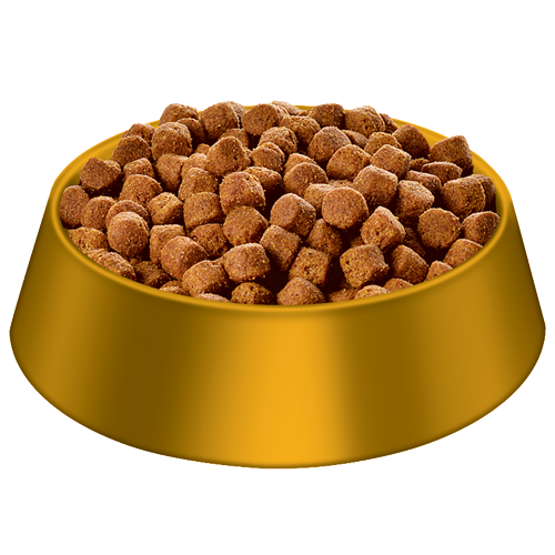 Hills Science Diet Adult Dog Dry Food - Large Breed
