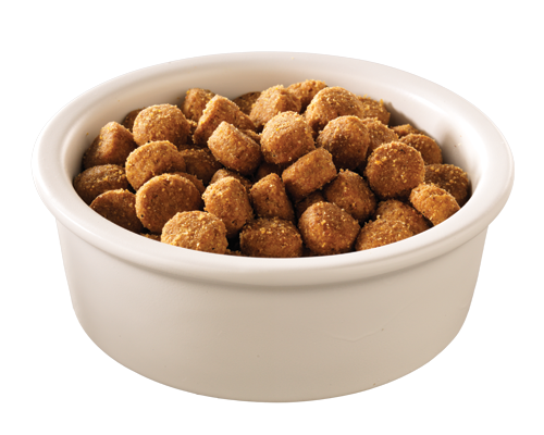 Hills Science Diet Adult Dog Dry Food - Toy Small Breed