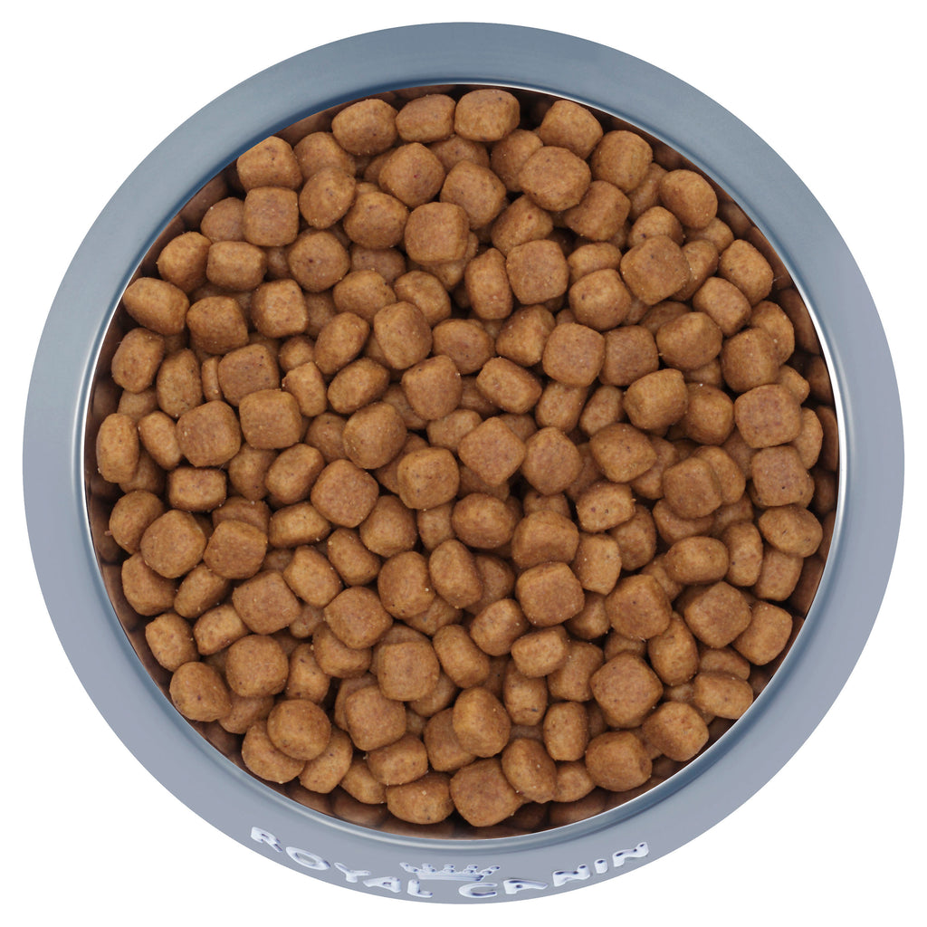 Royal canin giant puppy 15 kg hotsell