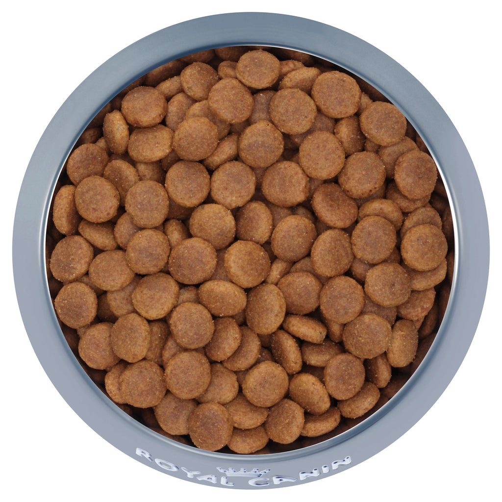 Medium adult 15kg deals