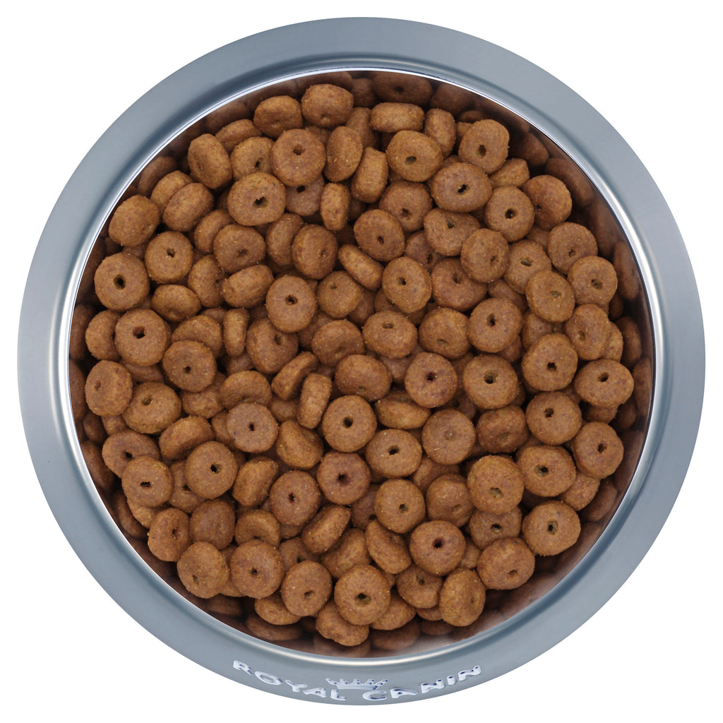 Royal Canin Maxi Ageing 8+ - Dry 15kg