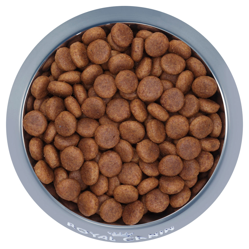 Royal Canin Maxi Adult - Dry 15kg