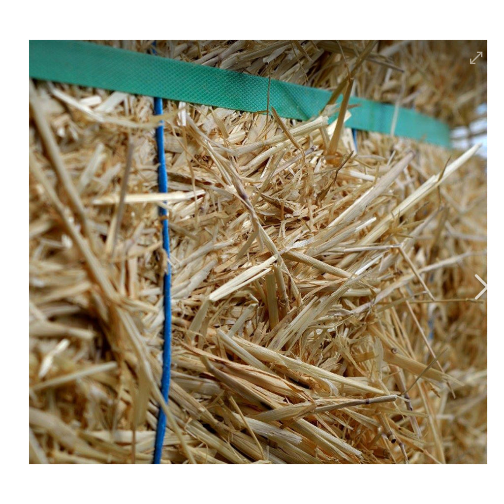 Barley/ Bedding Straw