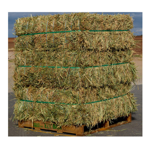 Ezy Bale - Meadow Hay - Bale