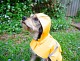 Kazoo Reflective Raincoat