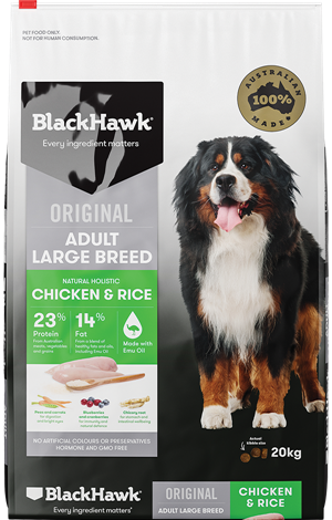 Royal Canin Adult Dog Dry Food - Labrador Retriever