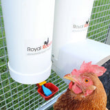 Royal Rooster Poultry Drinker - Single Cup