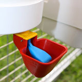 Royal Rooster Poultry Drinker - Single Cup