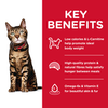 Hills Science Diet Adult Cat - Light