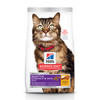 Hills Science Diet Adult Cat - Sensitive Stomach & Skin