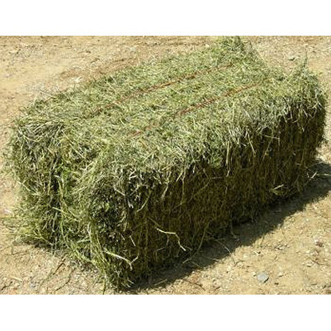 Straw, Lucerne or Hay