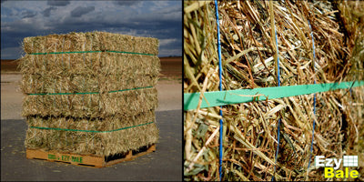 Ezy Bale Wheaton Hay - Bale