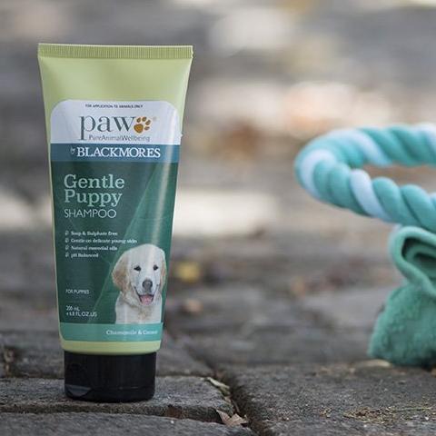 PAW Sensitive Skin Shampoo