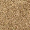 Bird Seed - Plain Canary