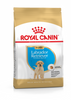 Royal Canin Junior Dog Dry Food - Labrador Retriever