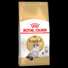 Royal Canin Adult Cat - Ragdoll
