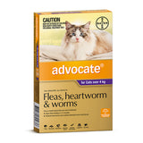 Advocate - Flea, Cat 4kg plus - 3 month