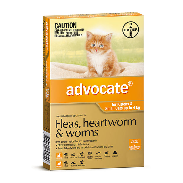 Advocate - 3 month kittens and cats under 4kg